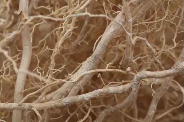 1507702290231205.jpg 2.jpg